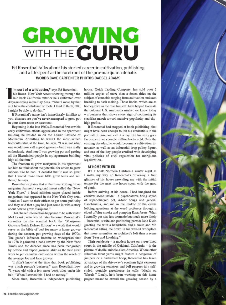 Cannabis Now Preview Pages