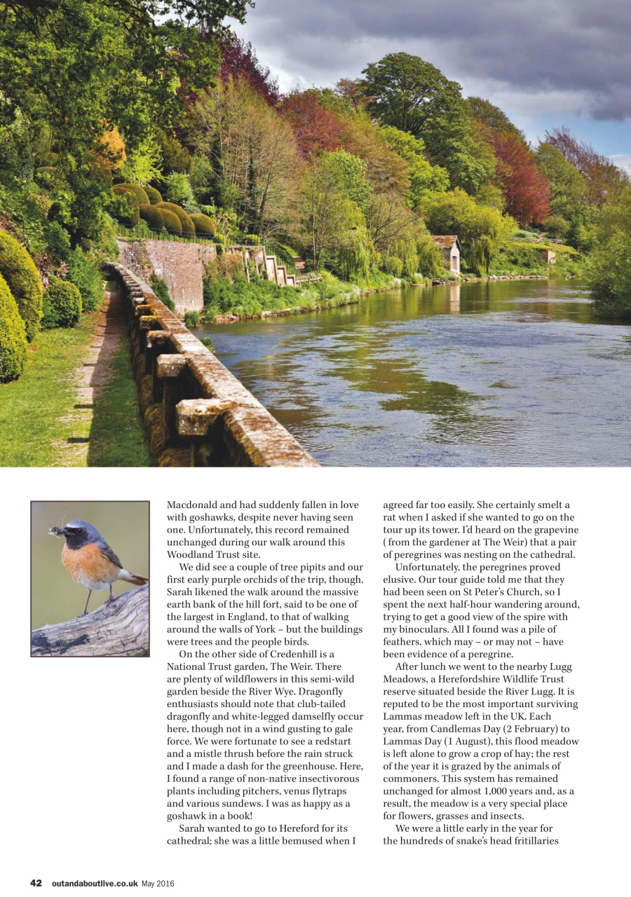 MMM magazine Preview Pages