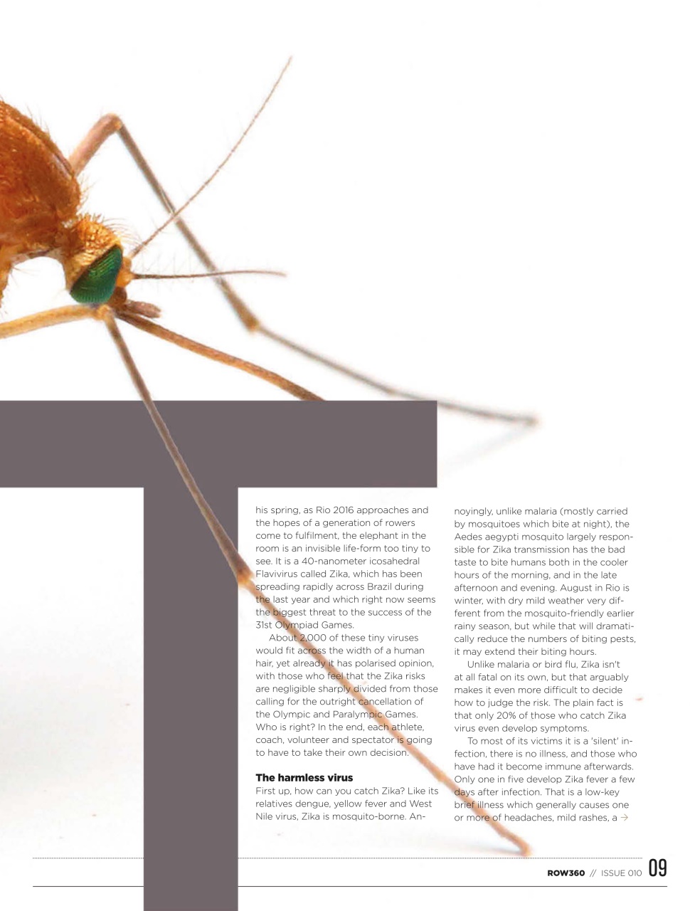 Row360 Preview Pages