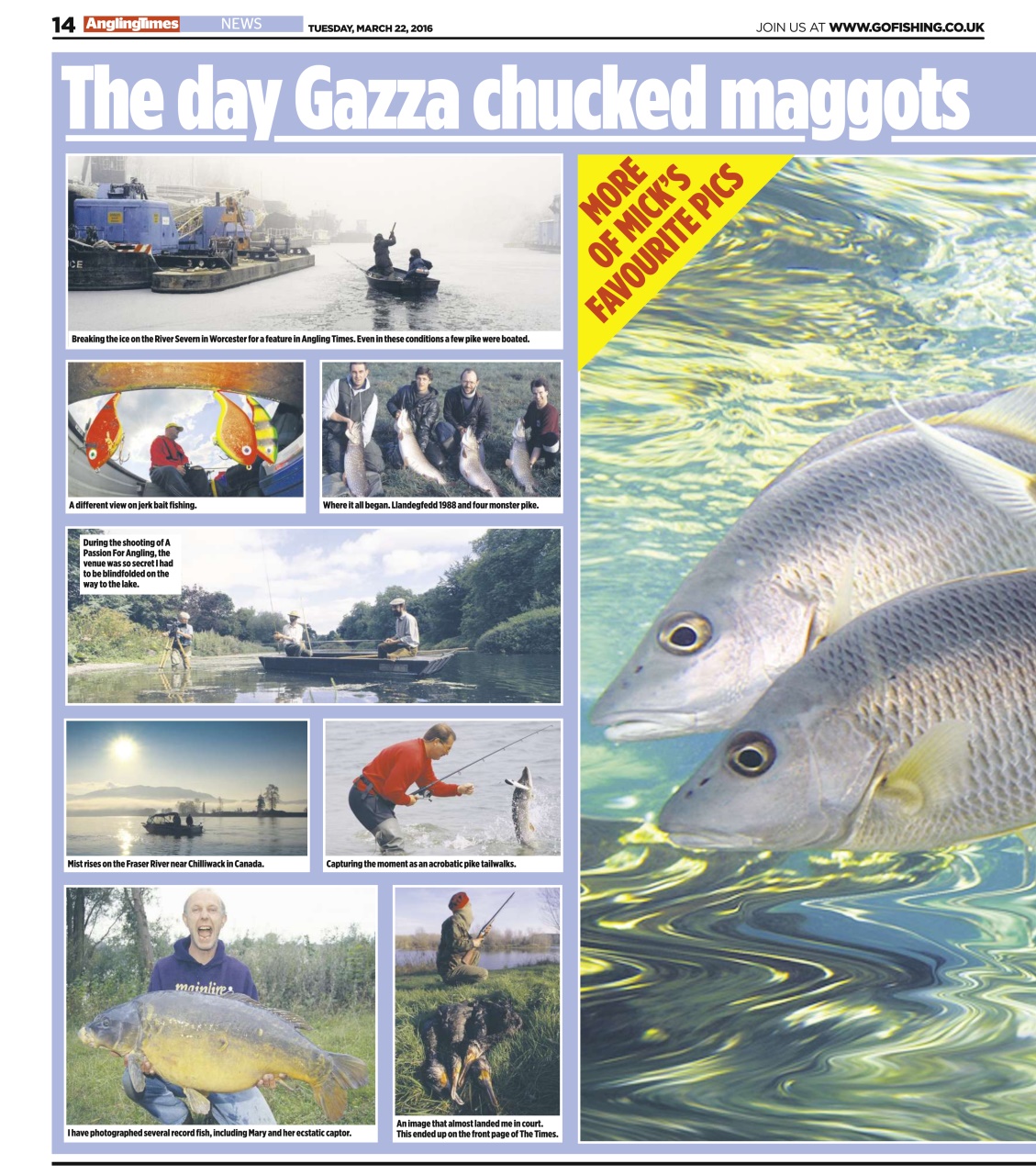 Angling Times Preview Pages