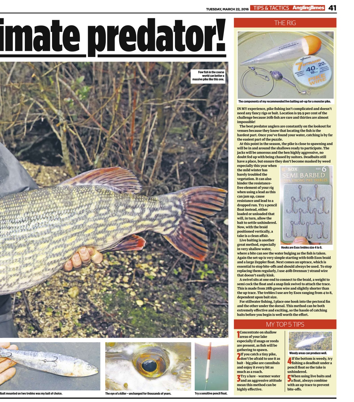 Angling Times Preview Pages