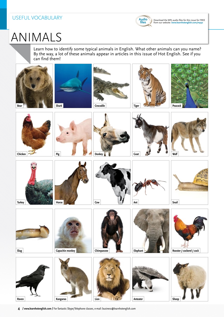 Learn Hot English Preview Pages