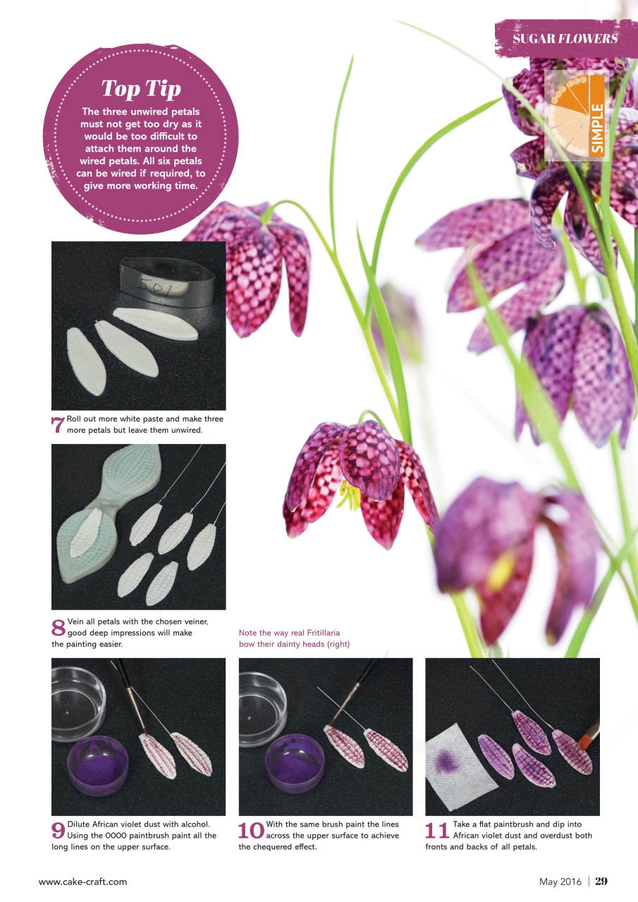 Cake Decoration & Sugarcraft Magazine Preview Pages