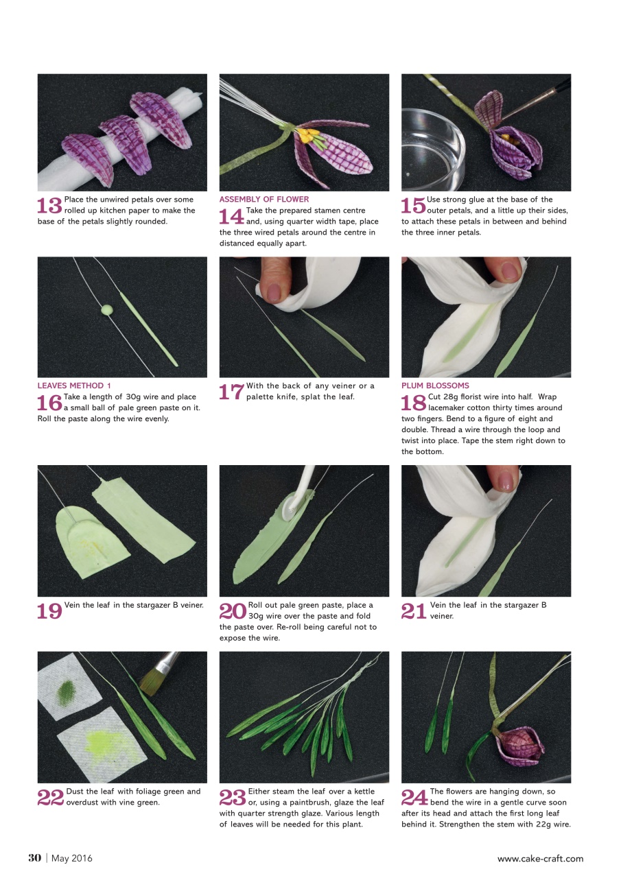 Cake Decoration & Sugarcraft Magazine Preview Pages