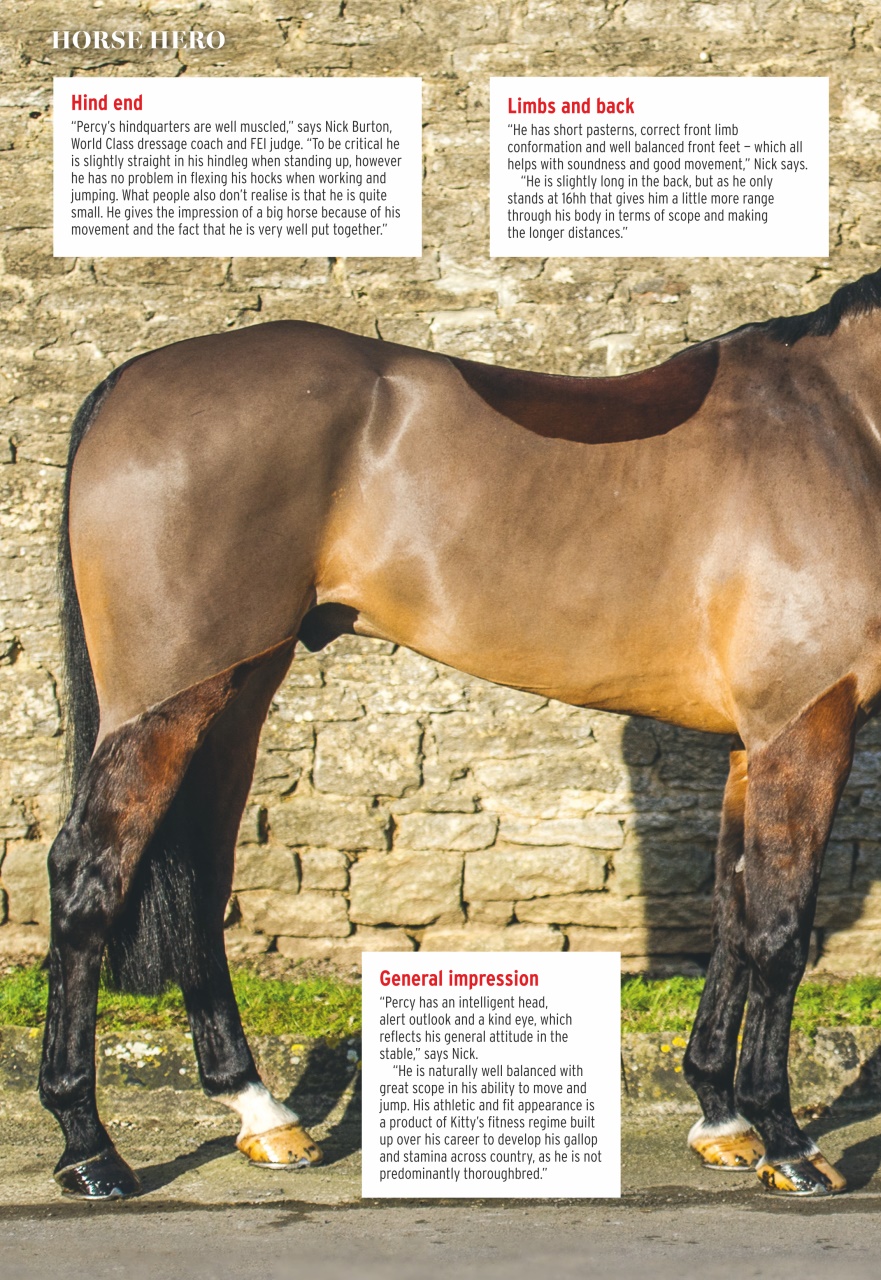 Horse & Hound Preview Pages