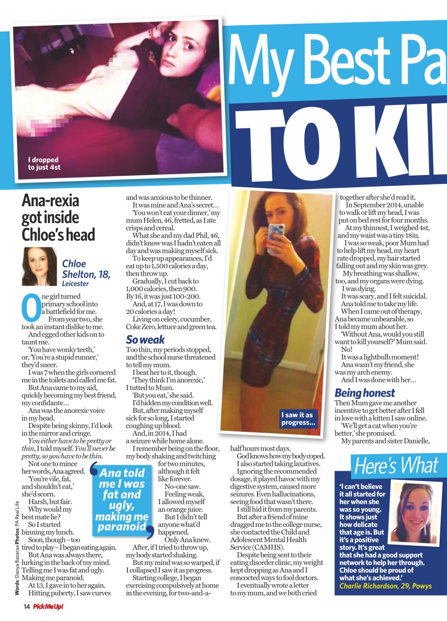 Pick Me Up Preview Pages