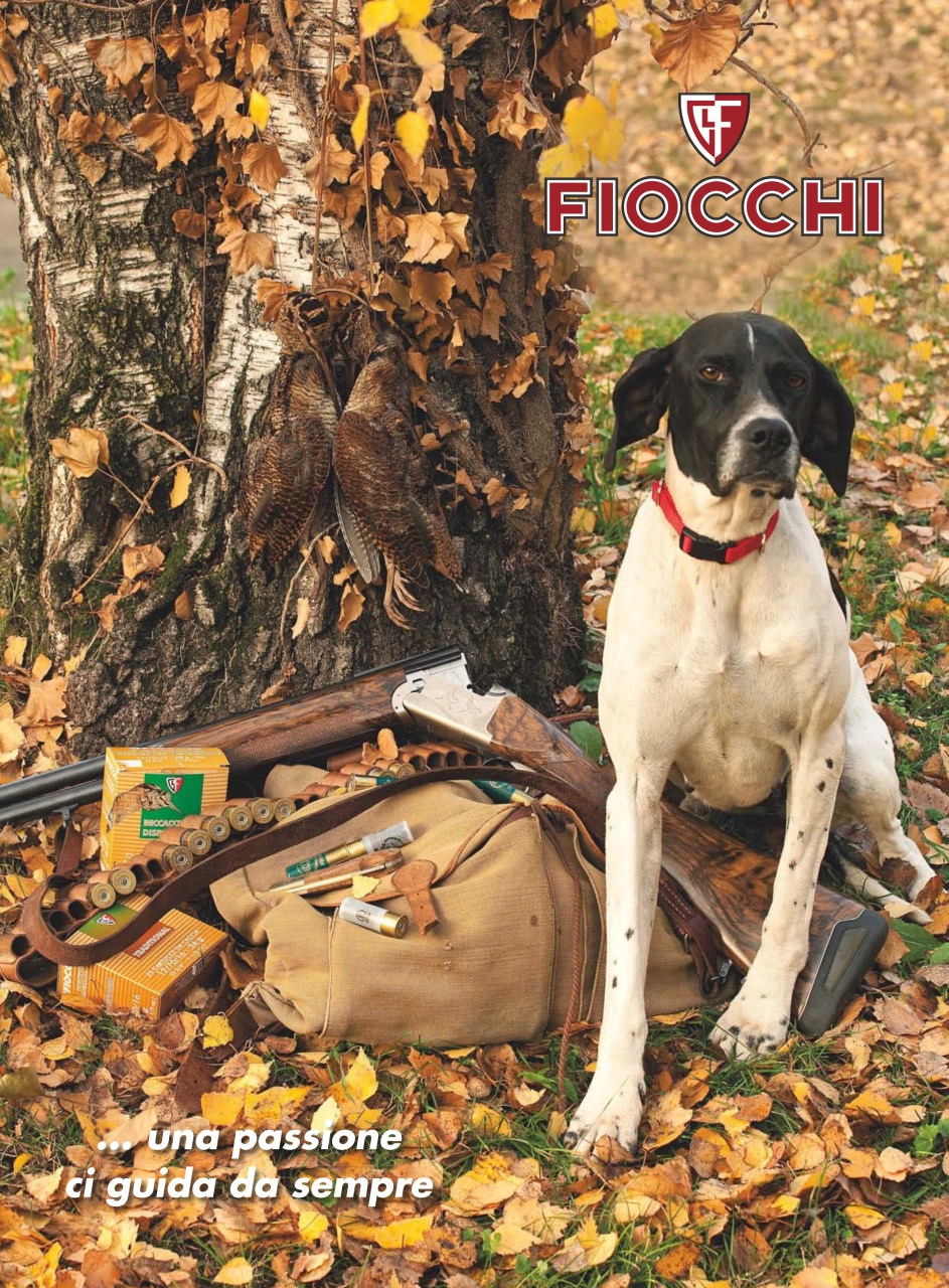 BECCACCE CHE PASSIONE Preview Pages