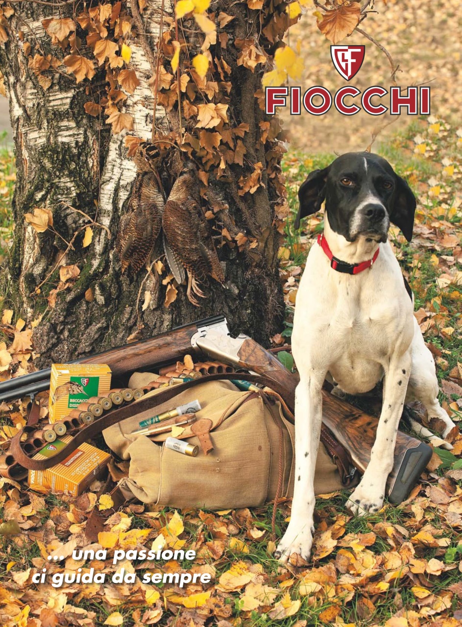 BECCACCE CHE PASSIONE Preview Pages