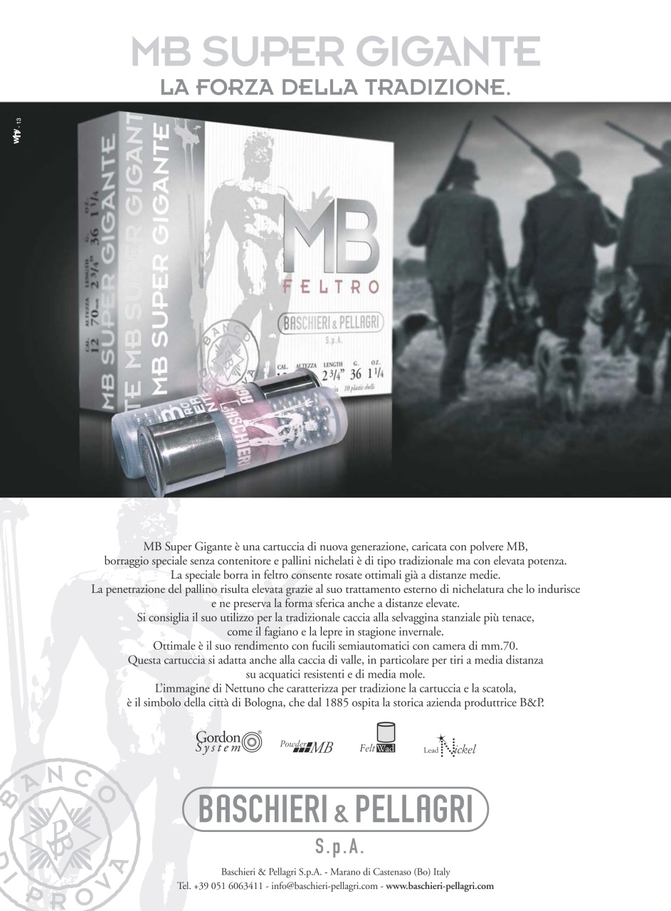 BECCACCE CHE PASSIONE Preview Pages