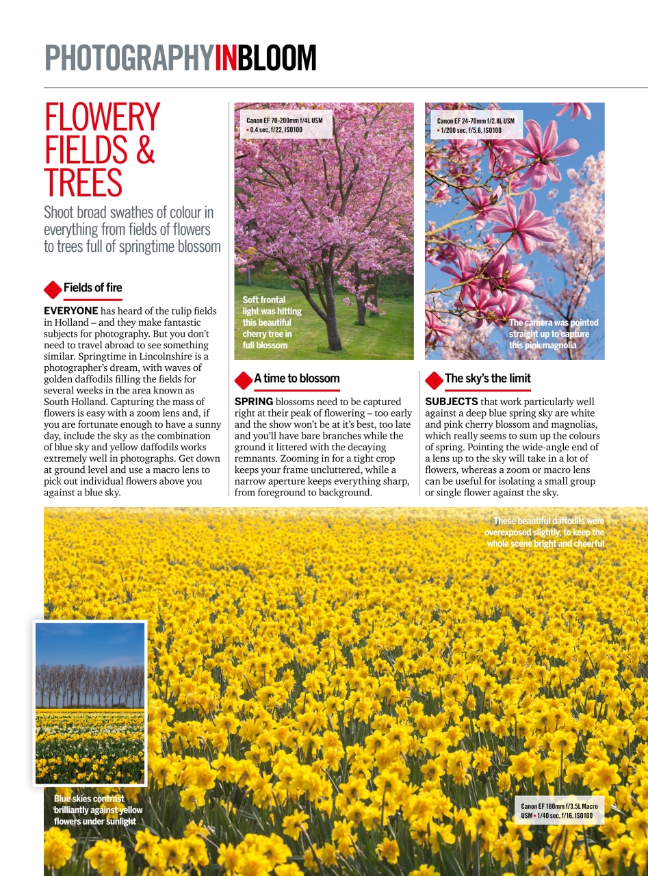 PhotoPlus Preview Pages