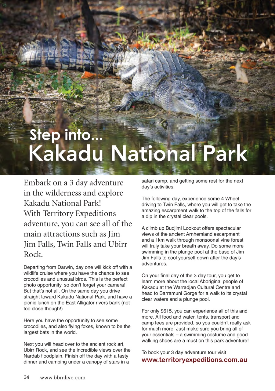 BBM Live Preview Pages