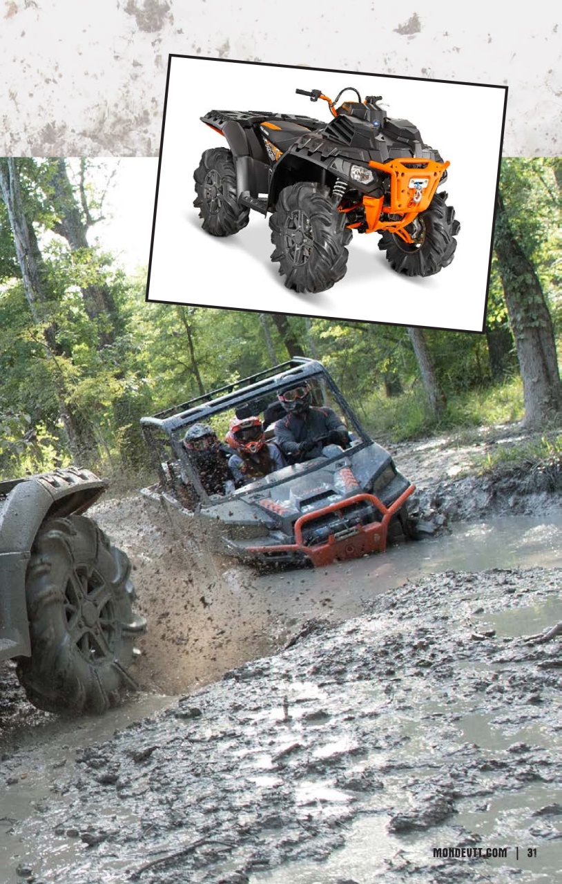 Quadnet Preview Pages