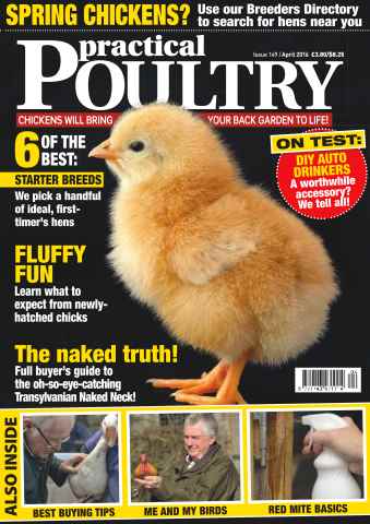 Practical Poultry issue No. 149 Fluffy Fun