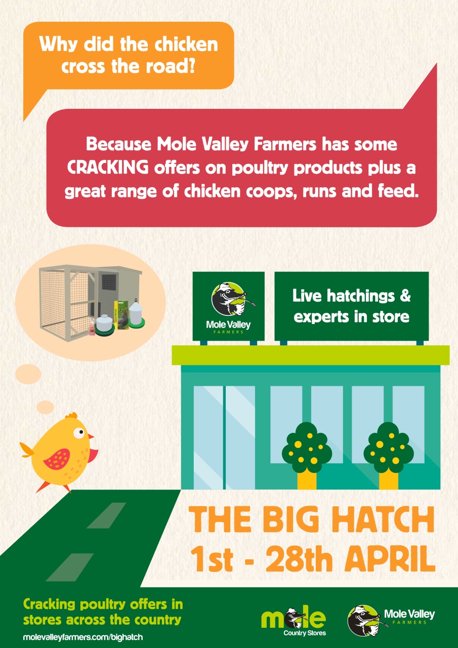 Practical Poultry Preview Pages