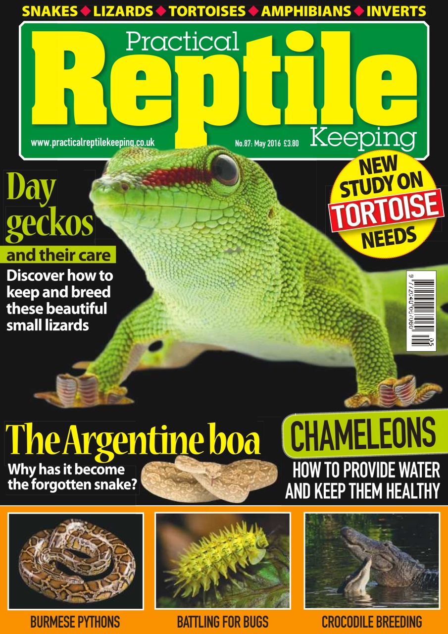 Practical Reptile Keeping Preview Pages