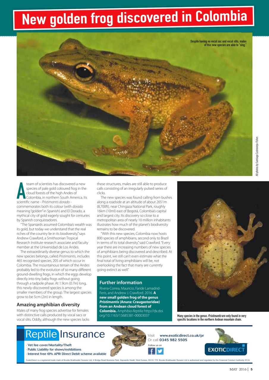 Practical Reptile Keeping Preview Pages