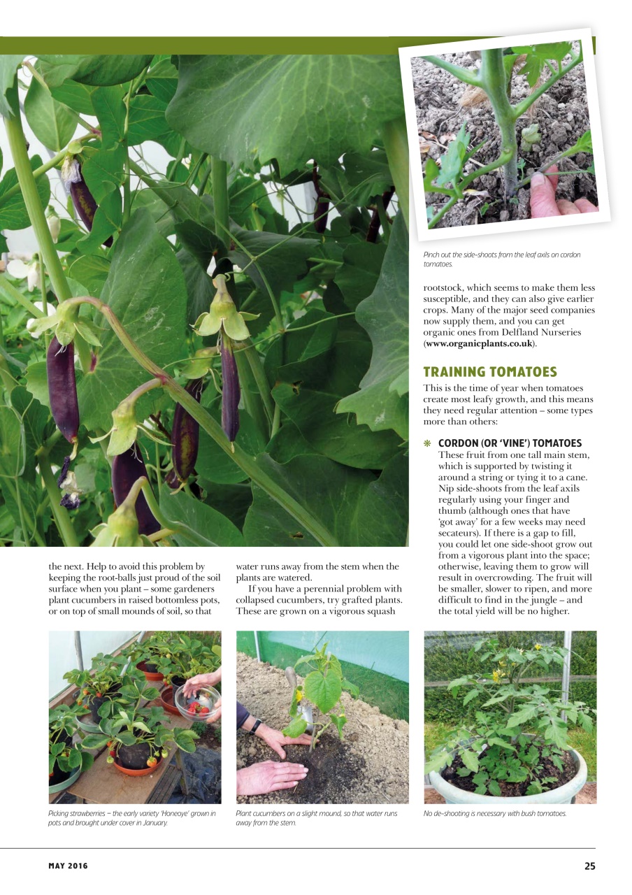 Home Farmer Magazine Preview Pages