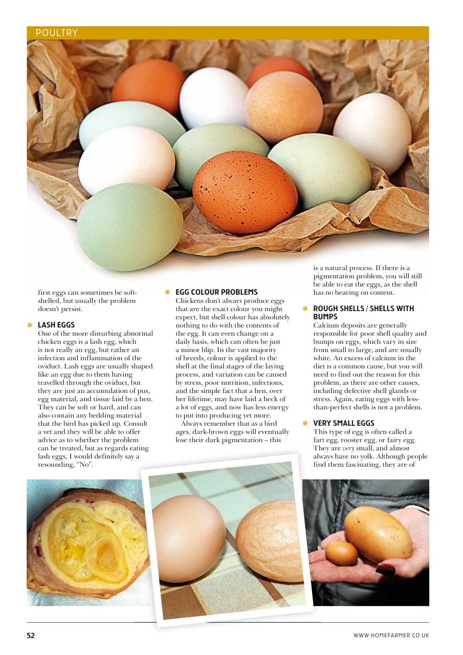 Home Farmer Magazine Preview Pages