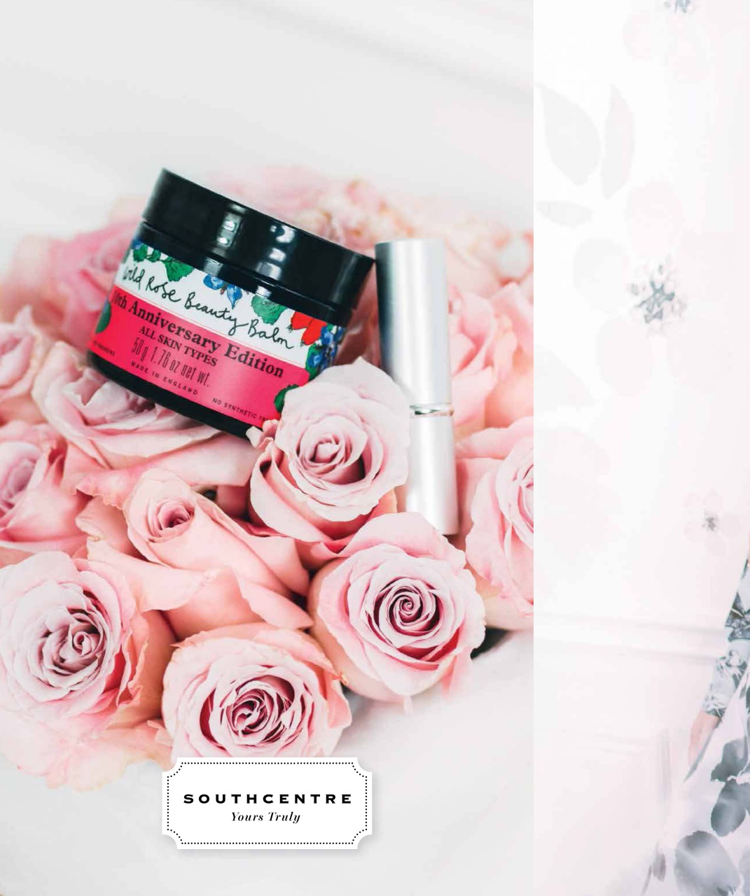 Avenue Calgary Preview Pages