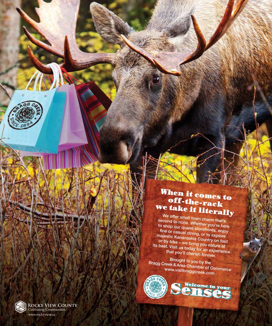 Avenue Calgary Preview Pages