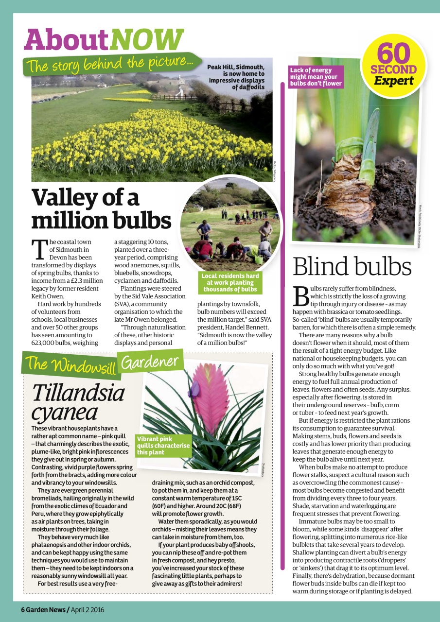 Garden News Preview Pages
