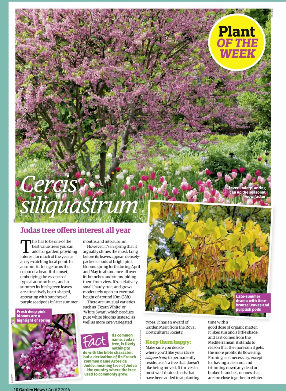 Garden News Preview Pages