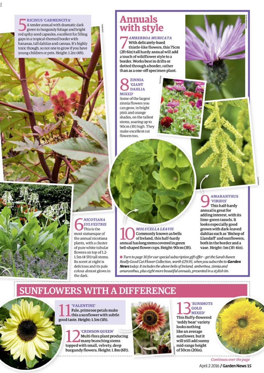 Garden News Preview Pages