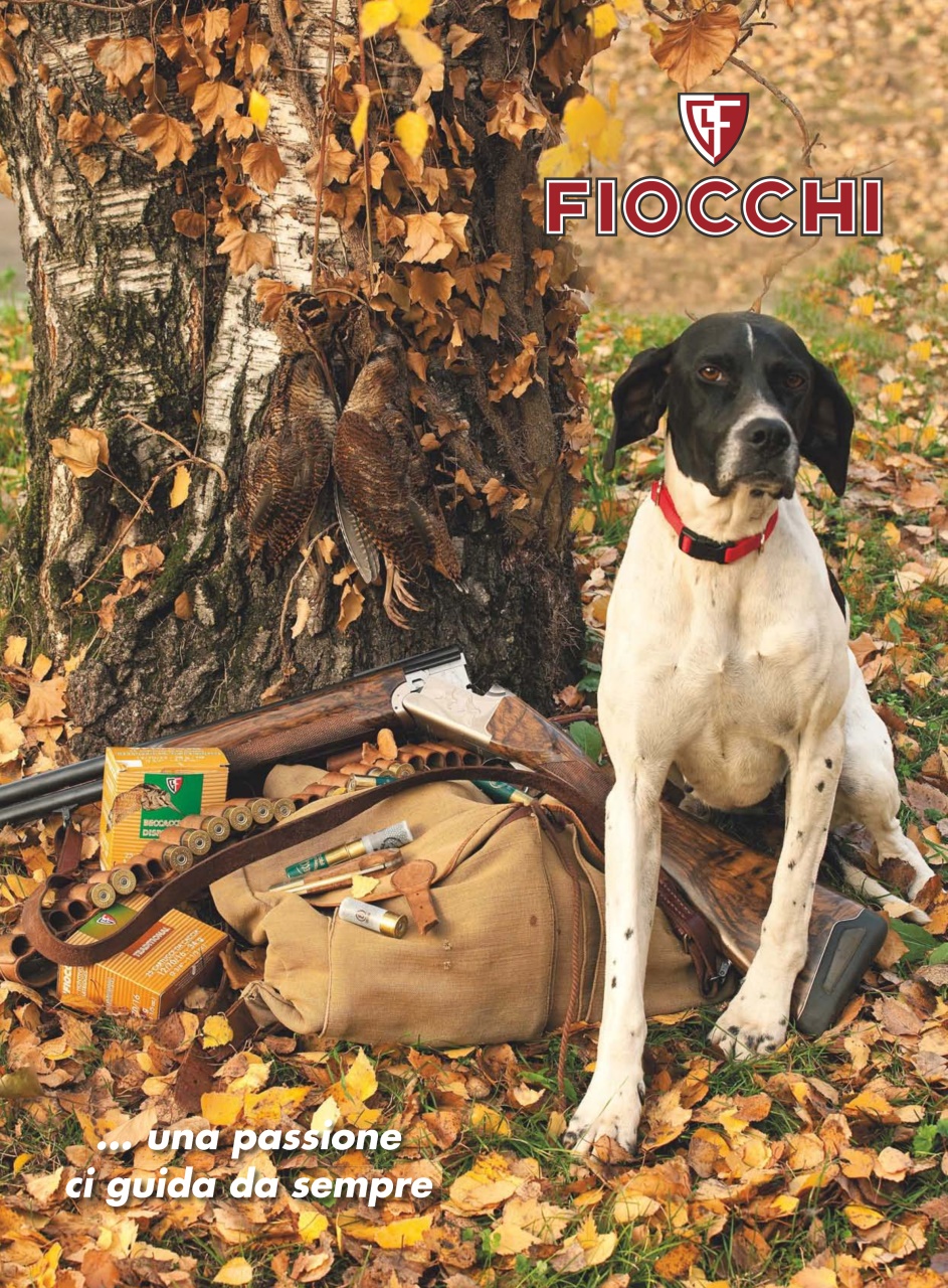 BECCACCE CHE PASSIONE Preview Pages