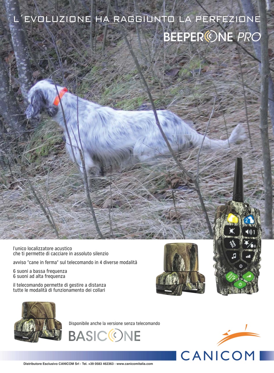 BECCACCE CHE PASSIONE Preview Pages