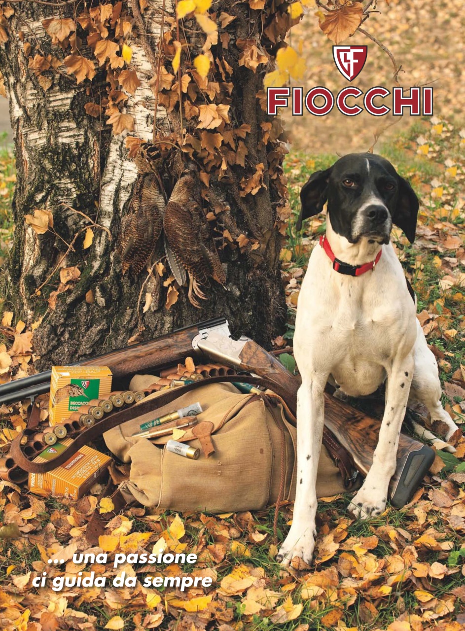 BECCACCE CHE PASSIONE Preview Pages