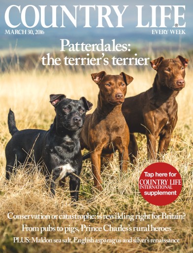 Country Life issue 
