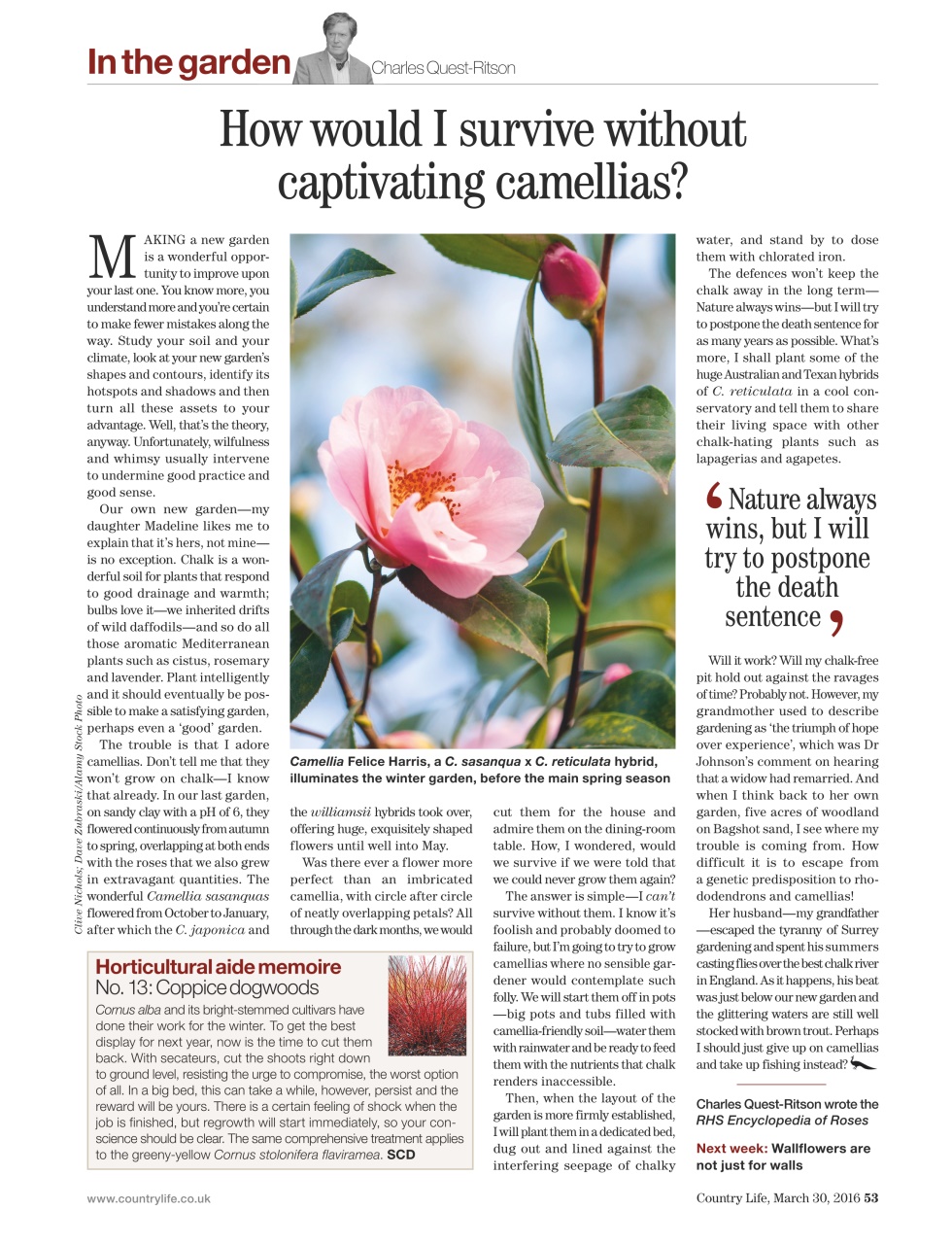 Country Life Preview Pages
