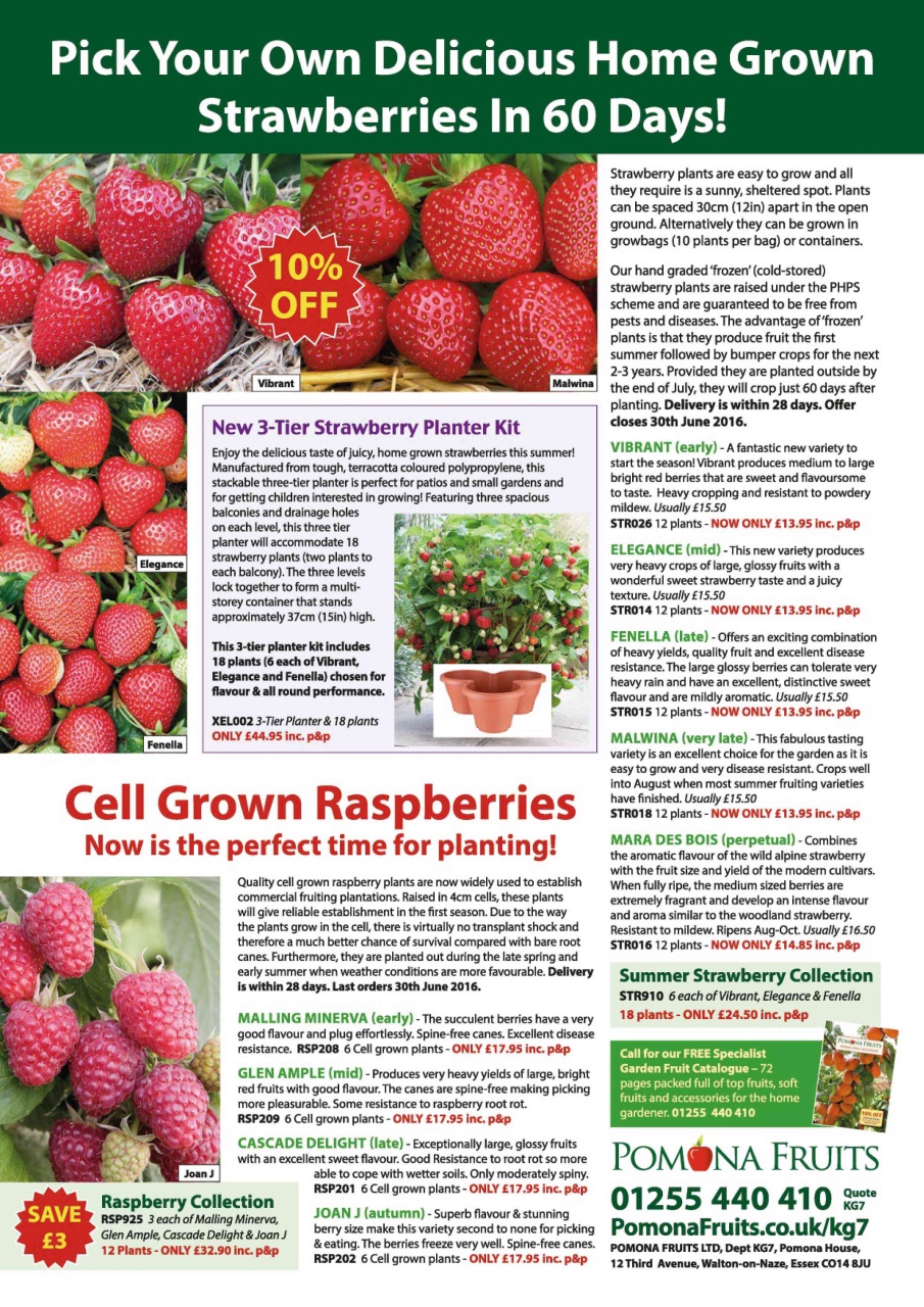 Kitchen Garden Magazine Preview Pages