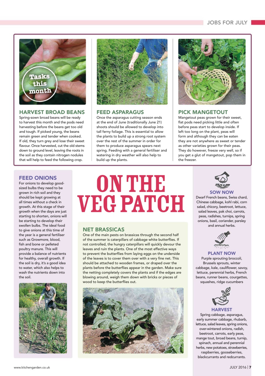 Kitchen Garden Magazine Preview Pages