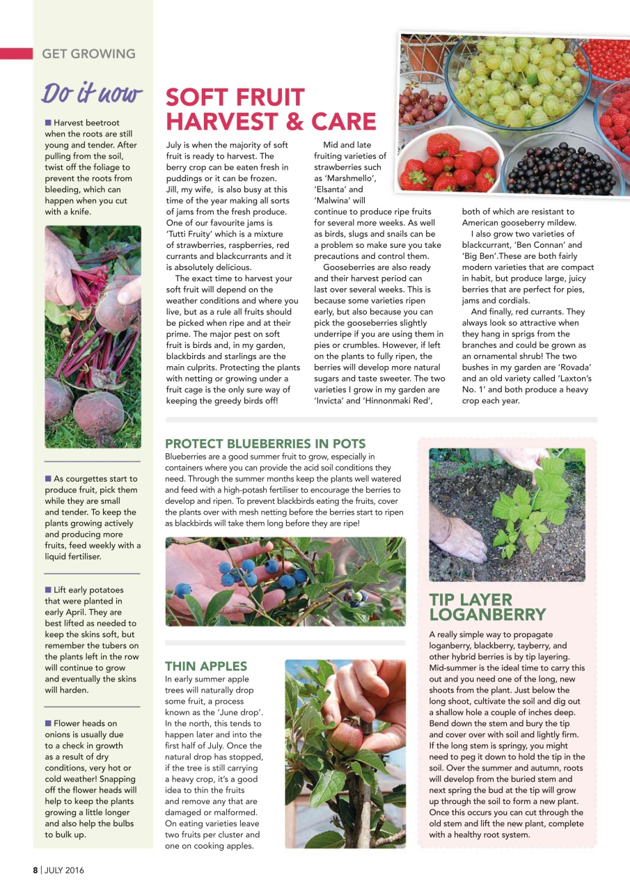 Kitchen Garden Magazine Preview Pages