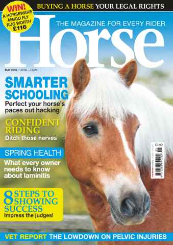 Horse issue May 2016