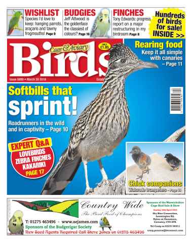 Cage & Aviary Birds issue No. 5899 Softbills that sprint!