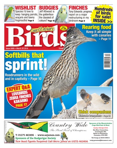 Cage & Aviary Birds issue 