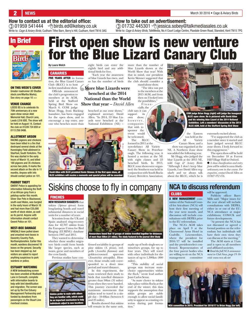 Cage & Aviary Birds Preview Pages