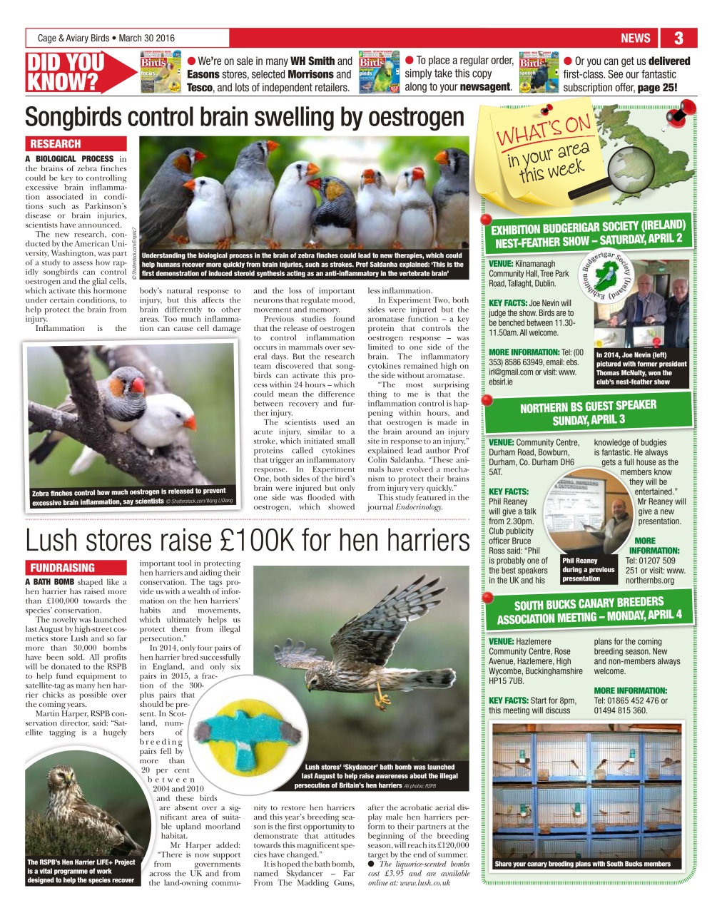 Cage & Aviary Birds Preview Pages