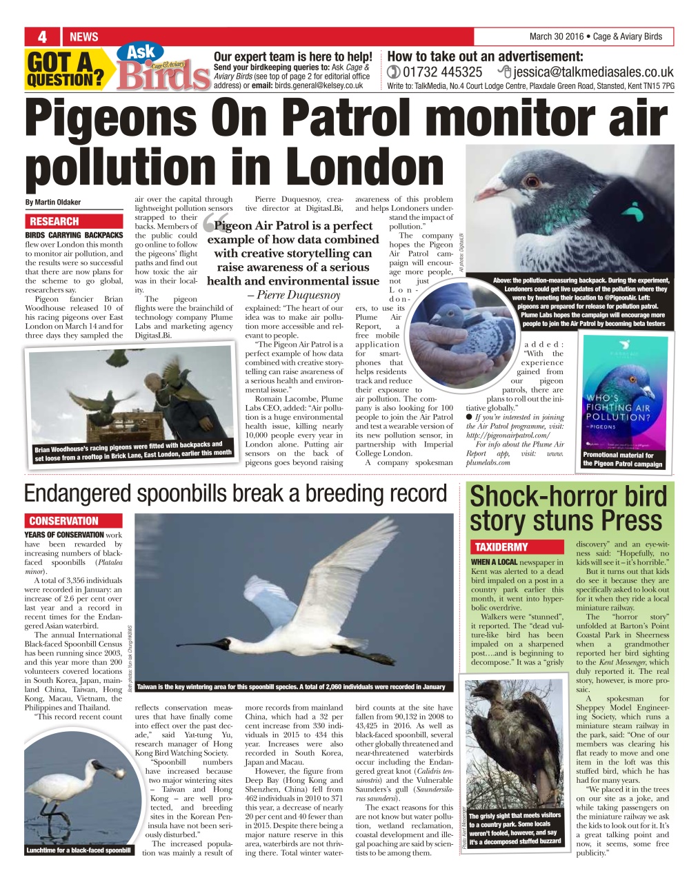 Cage & Aviary Birds Preview Pages