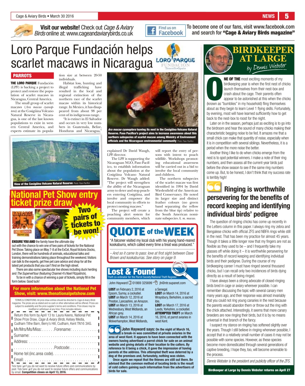 Cage & Aviary Birds Preview Pages