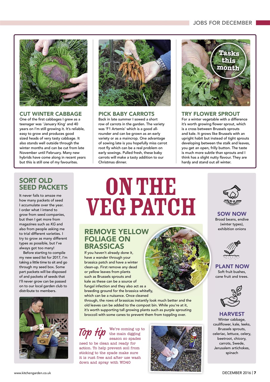 Kitchen Garden Magazine Preview Pages