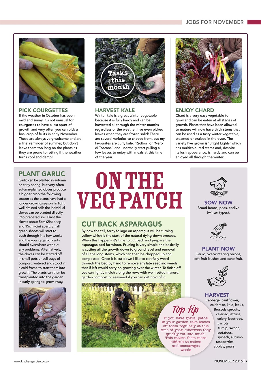 Kitchen Garden Magazine Preview Pages