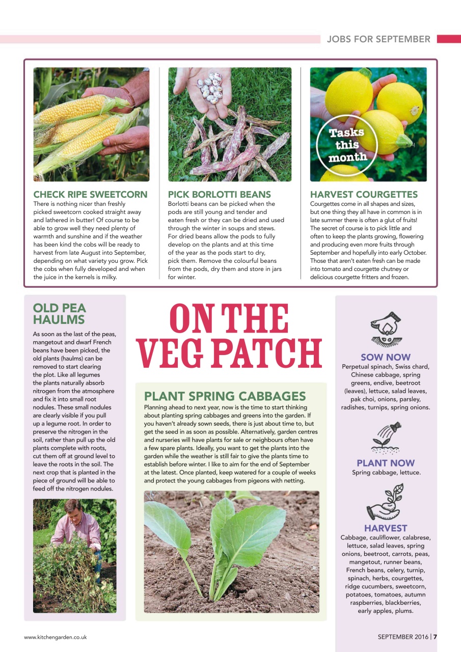 Kitchen Garden Magazine Preview Pages