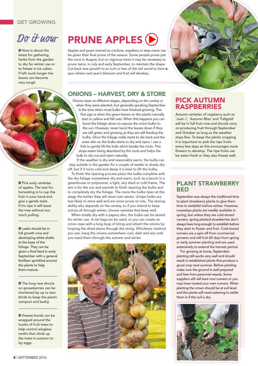 Kitchen Garden Magazine Preview Pages