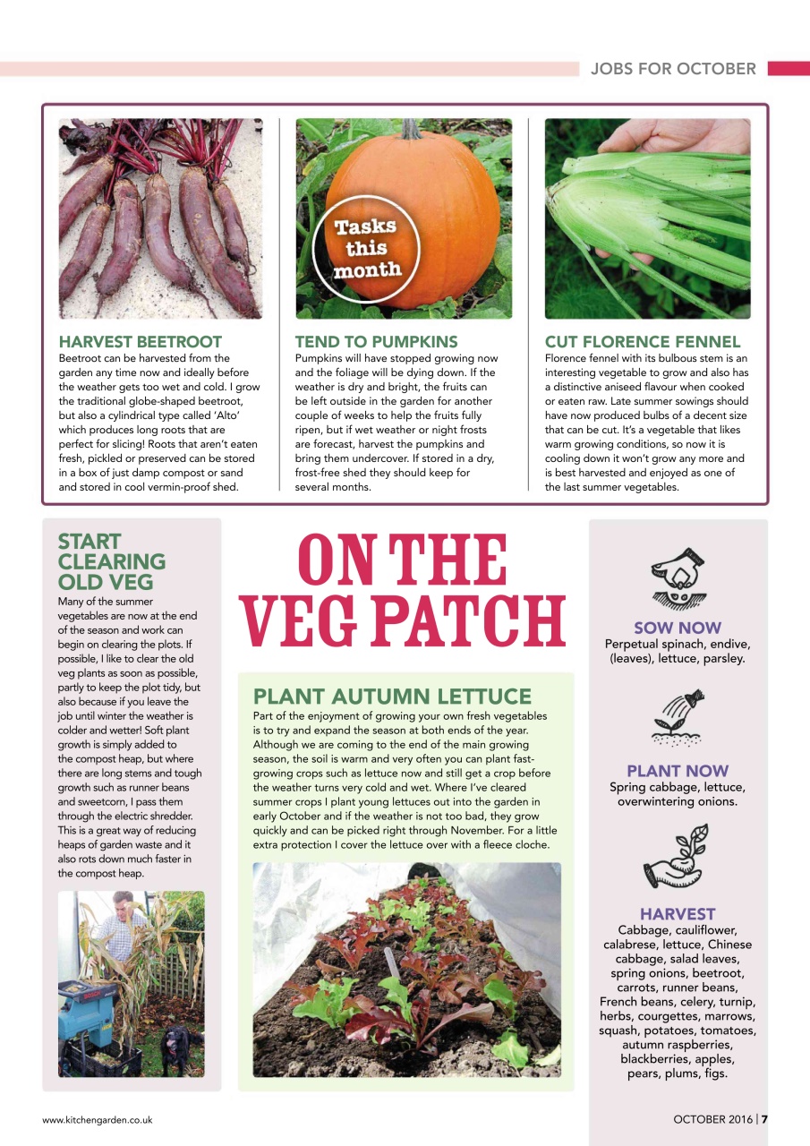 Kitchen Garden Magazine Preview Pages