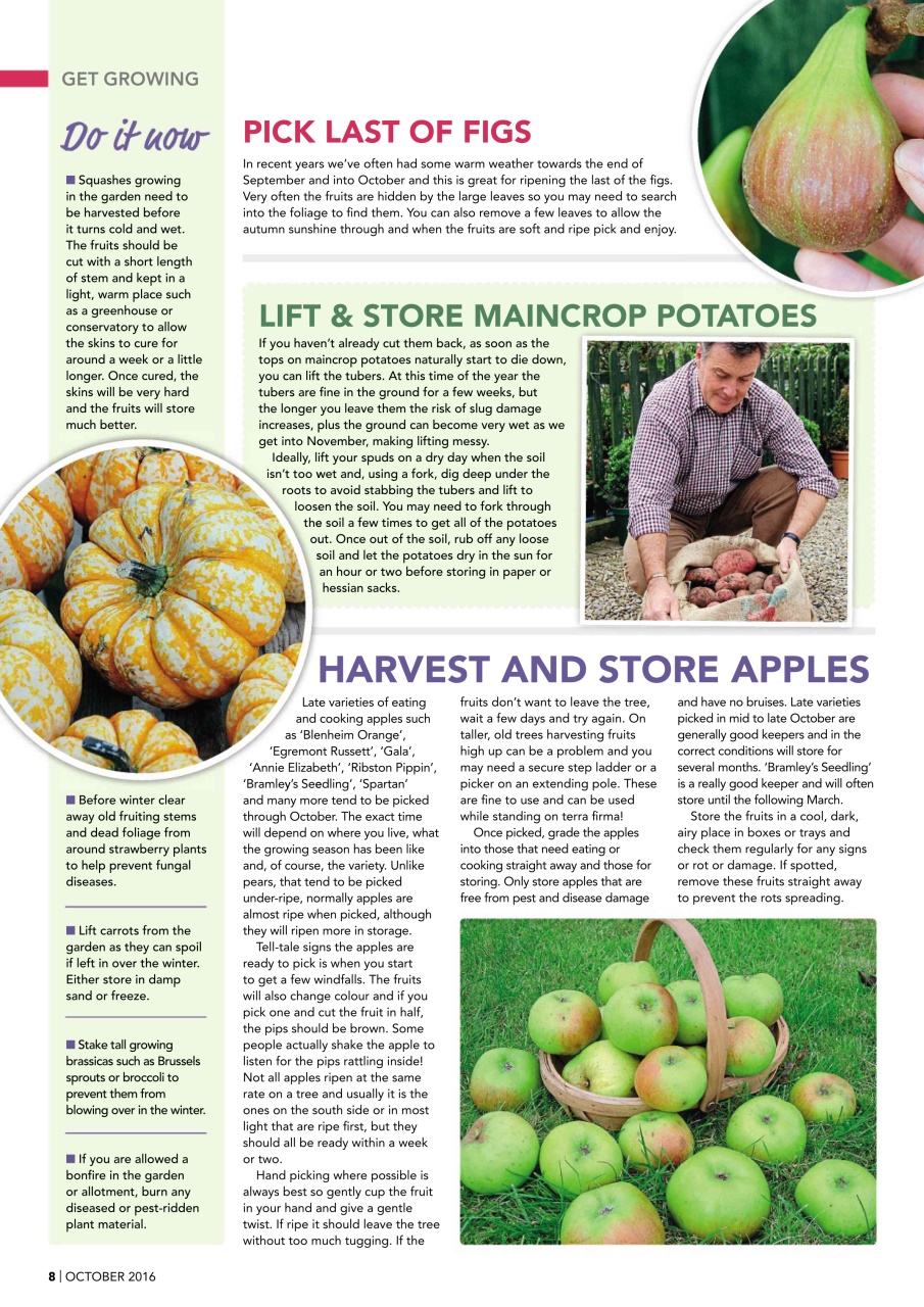 Kitchen Garden Magazine Preview Pages
