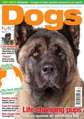 Dogs Monthly issue May 2016