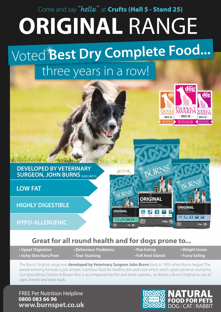 Dogs Monthly Preview Pages